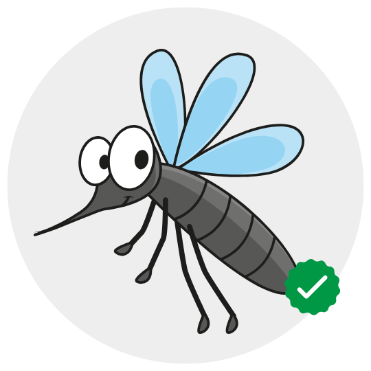 Mosquito control